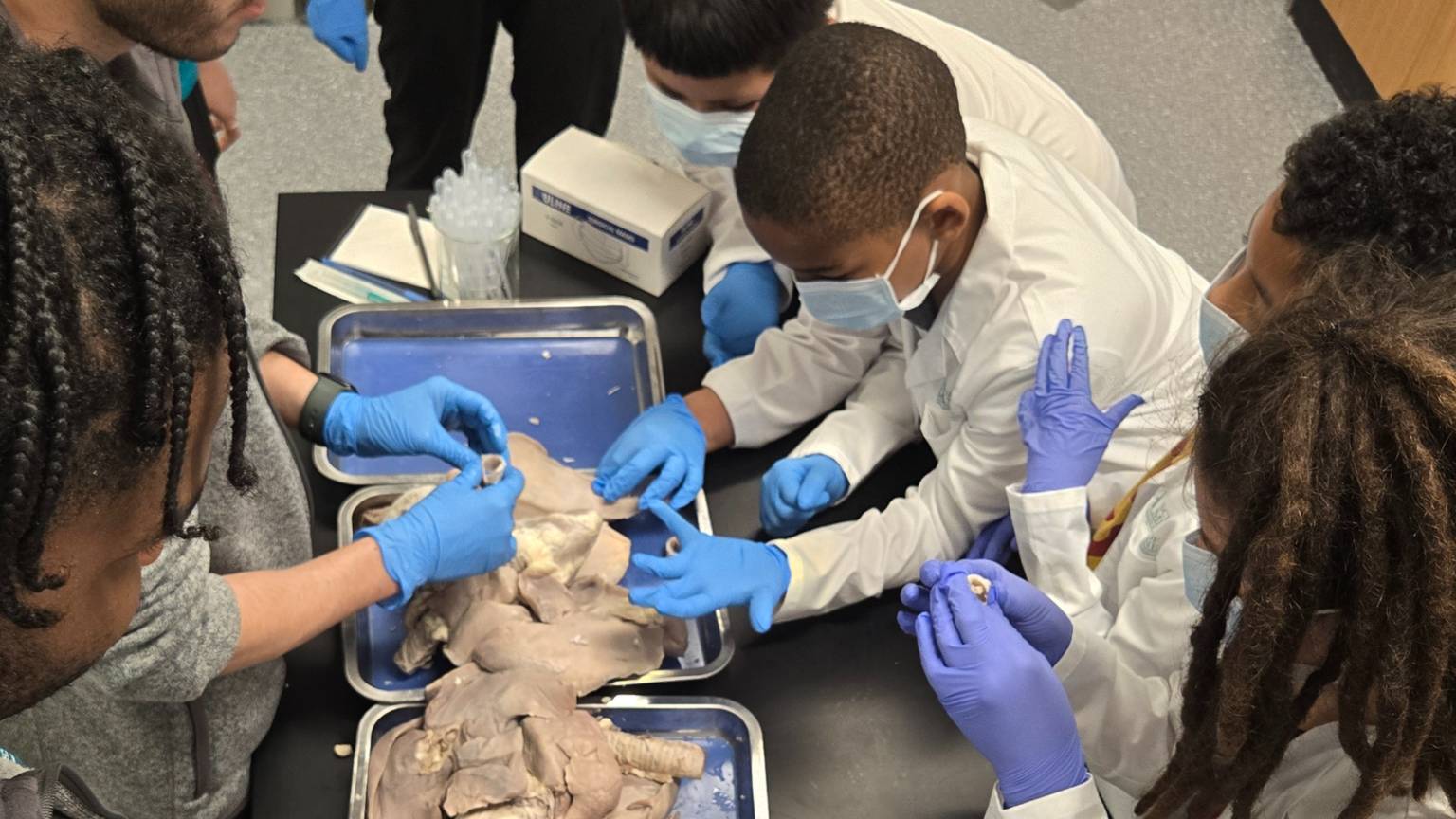 PHSU Mini Medical School Students with Hands on Learning of Anatomy