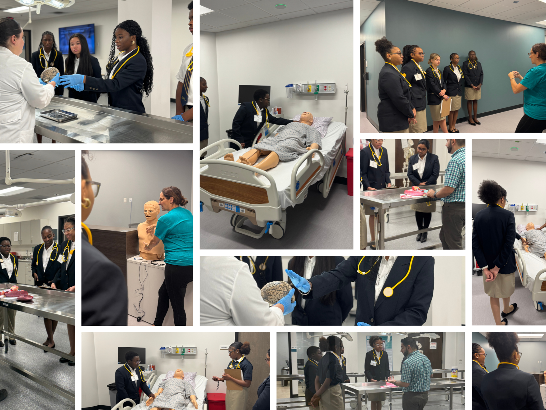 PHSU Hosts Students for St. Louis Internship Program