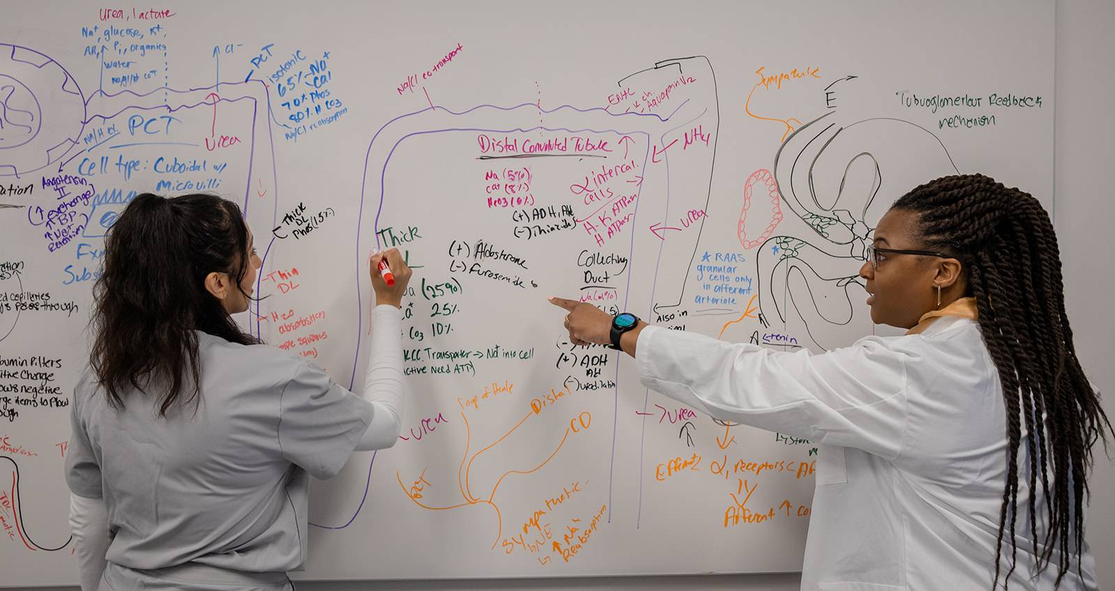 PHSU Faculty support & Tutoring